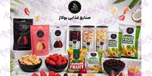 اعطای نمایندگی فروش مواد غذایی تنقلات سلامت‌محور بوکاژ (انواع چیپس میوه, بستنی خشک، دراژه)