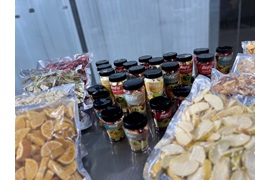 اعطای نمایندگی فروش محصولات غذایی میوه خشک انجمادی (فریزدرای)