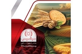 اعطای نمایندگی فروش کیک و کلوچه پردیس الیان چالوس در سراسر کشور