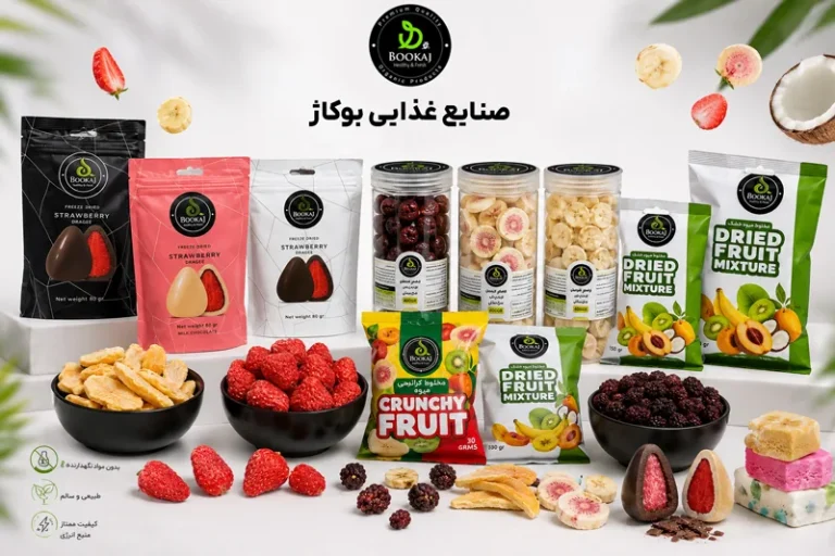اعطای نمایندگی فروش مواد غذایی تنقلات سلامت‌محور بوکاژ (انواع چیپس های میوه , انواع بستنی)