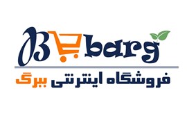 فروشگاه اینترنتی ببرگ