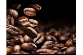 پخش مواد غذایی کافی شاپی (پخش مواد غذایی بیستون)