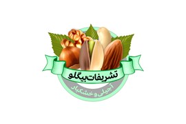 امین بیگلو 