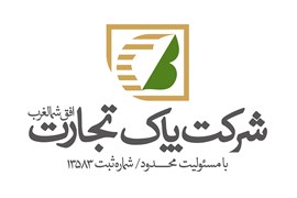 بازرگانی رادین