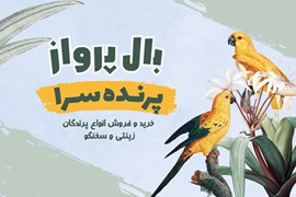 پرنده سرای بال پرواز