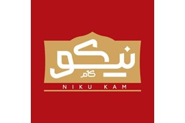 نوین همت پارس نیکو