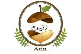 گروه مواد غذایی آتین