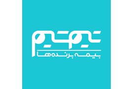 توسعه فناوران مالی رایا(تیم‌‌شیم)