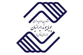 مشاورین داده پردازی پویا پیوند ایرانیان