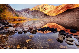 بازرگانی بهنامی