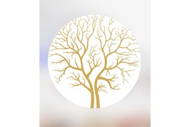 راموپرفیوم