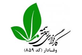 کارگزاری رسمی بیمه مرکزی