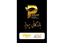 بازرگانی پرویز (شیلگان، آیاتای، آقای زیتون)