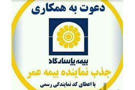 بیمه پاسارگاد