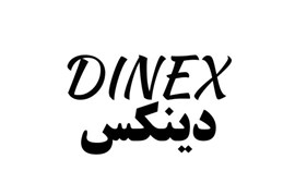 دینکس DINEX