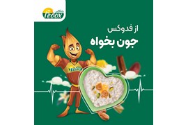 شرکت پویاپردازان میثاق (فدوکس)
