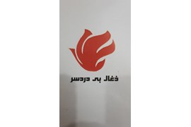 زغال بدون دود بی دردسر