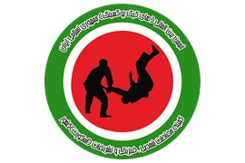 کمیته حفاظت شخصی،فیزیکی و اسکورت کشور