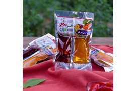 شرکت ترشک و لواشک یگانه