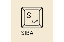 توسعه کسب و کار سیبا