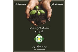 بیمه کارآفرین نمایندگی فلاح رضایی کد 3101